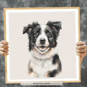 Border Collie Puppy Pet Portrait